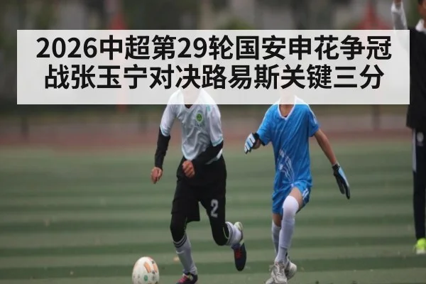 2026中超第29轮国安申花争冠战张玉宁对决路易斯关键三分 | cc7c7.app